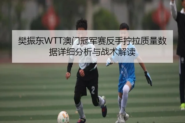 樊振东WTT澳门冠军赛反手拧拉质量数据详细分析与战术解读