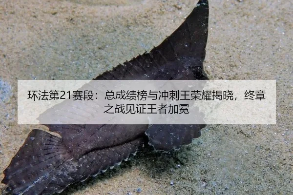 huan-fa-di-sai-duan-zong-cheng-ji-bang-yu-chong-ci-wang-rong-yao-jie-xiao-zhong-zhang-zhi-zhan-jian-zheng-wang-zhe-jia-2-261.jpg